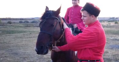 Казак без лошади, что без крыльев птица. Казак без лошади, что без крыльев птица.