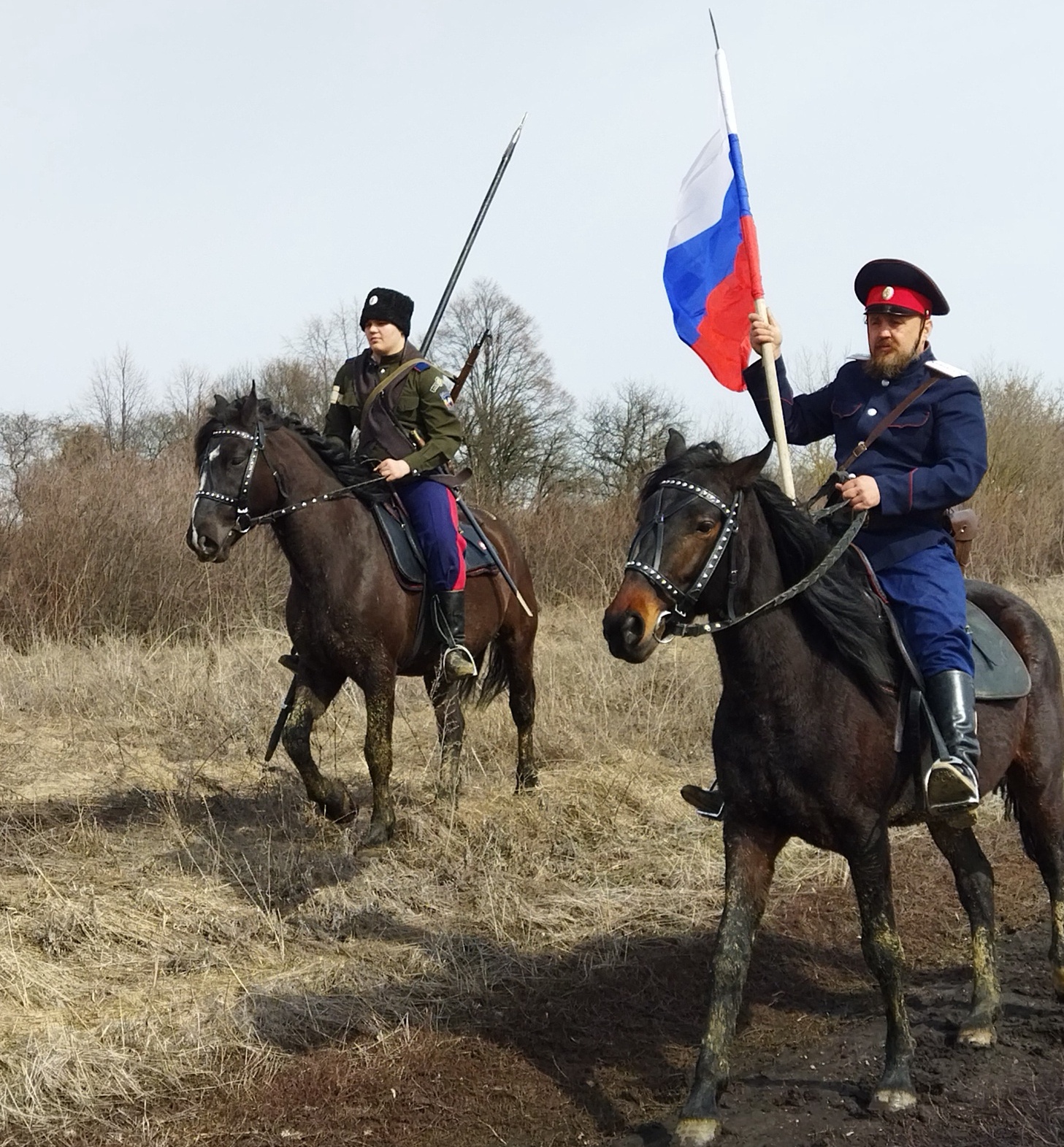 Казаки